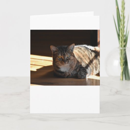 Trage dagen, kaart (Voorkant)