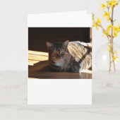 Trage dagen, kaart (Gele Bloem)