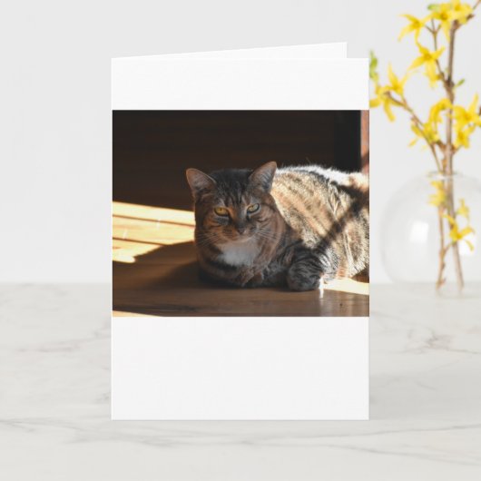 Trage dagen, kaart (Gele Bloem)