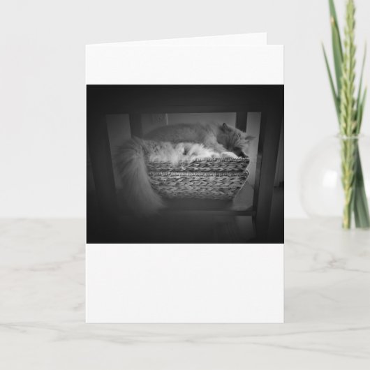 Trage dagen, kaart (Voorkant)