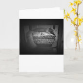 Trage dagen, kaart (Gele Bloem)