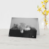 Trage dagen, kaart (Gele Bloem)