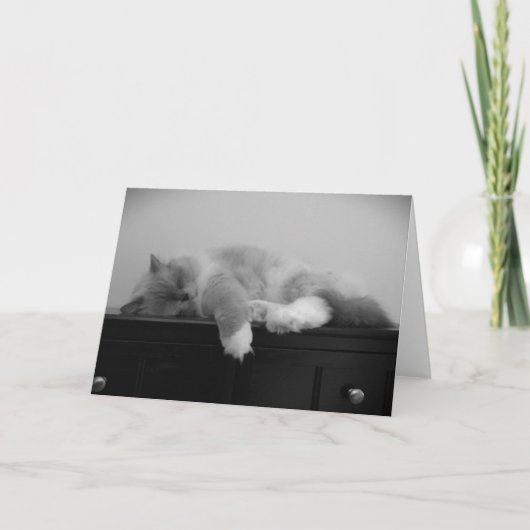 Trage dagen, kaart (Voorkant)