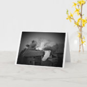 Trage dagen, kaart (Gele Bloem)