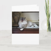 Trage dagen, kaart (Voorkant)