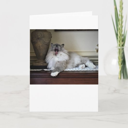 Trage dagen, kaart (Voorkant)