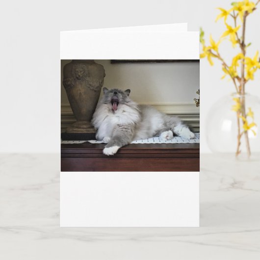 Trage dagen, kaart (Gele Bloem)