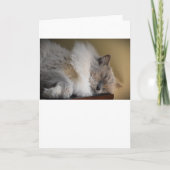 Trage dagen, kaart (Voorkant)