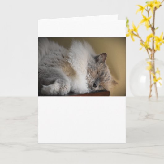 Trage dagen, kaart (Gele Bloem)