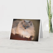 Trage dagen, kaart (Voorkant)