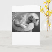 Trage dagen, kaart (Gele Bloem)