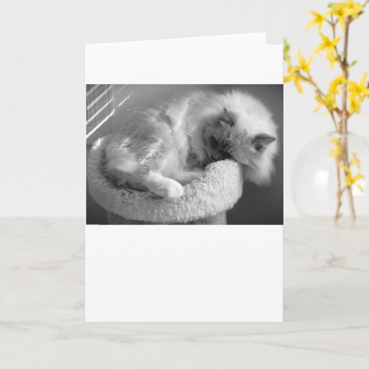 Trage dagen, kaart (Gele Bloem)