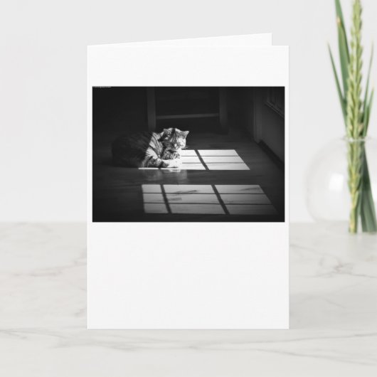 Trage dagen, kaart (Voorkant)