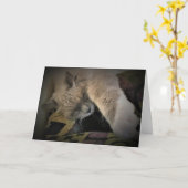 Trage dagen, kaart (Gele Bloem)