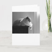 Trage dagen, kaart (Voorkant)