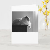 Trage dagen, kaart (Gele Bloem)