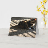 Trage dagen, kaart (Gele Bloem)