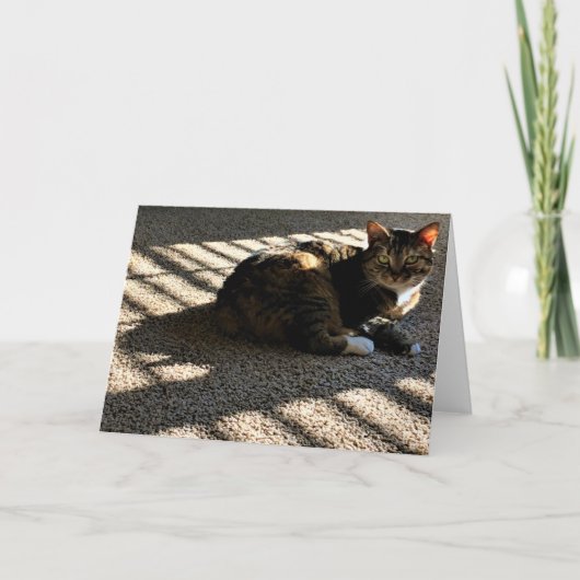 Trage dagen, kaart (Voorkant)