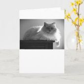 Trage dagen, kaart (Gele Bloem)