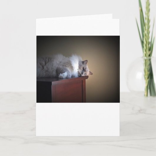 Trage dagen, kaart (Voorkant)