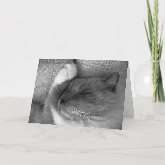 Trage dagen, kaart (Voorkant)