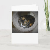 Trage dagen, kaart (Voorkant)