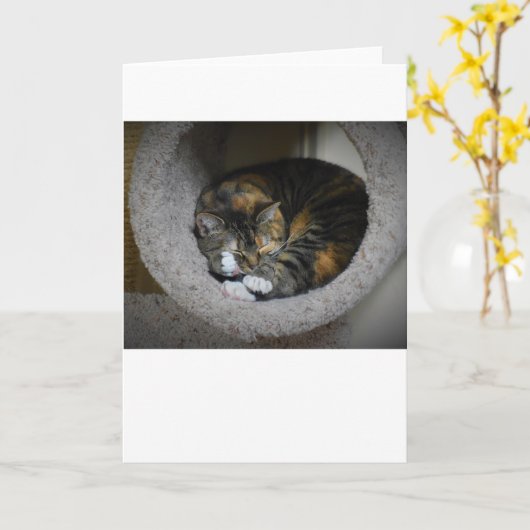 Trage dagen, kaart (Gele Bloem)