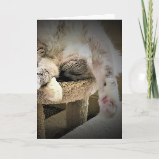 Trage dagen, kaart (Voorkant)