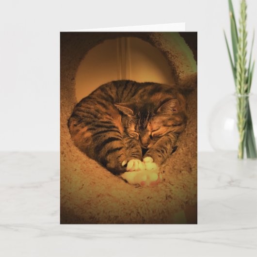 Trage dagen, kaart (Voorkant)