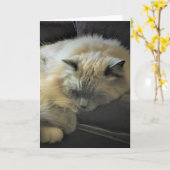 Trage dagen, kaart (Gele Bloem)