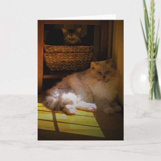 Trage dagen, kaart (Voorkant)