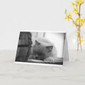 Trage dagen, kaart (Gele Bloem)