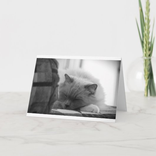 Trage dagen, kaart (Voorkant)