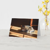 Trage dagen, kaart (Gele Bloem)