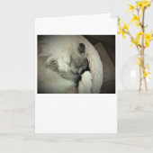 Trage dagen, kaart (Gele Bloem)