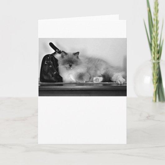 Trage dagen, kaart (Voorkant)