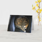 Trage dagen, kaart (Gele Bloem)