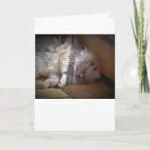 Trage dagen, kaart (Voorkant)