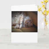 Trage dagen, kaart (Gele Bloem)