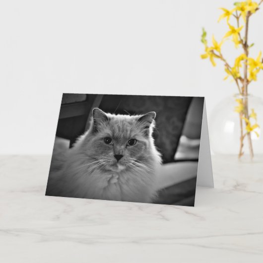 Trage dagen, kaart (Gele Bloem)