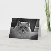 Trage dagen, kaart (Voorkant)