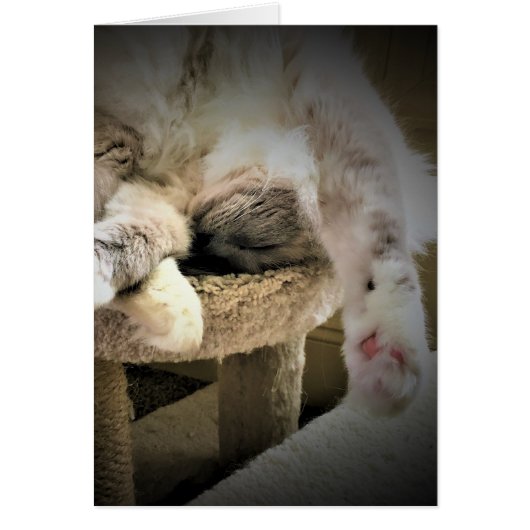 Trage dagen, kaart (Voorkant)