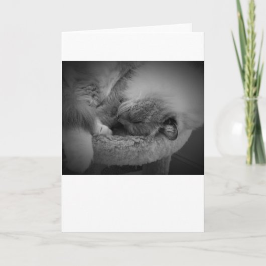 Trage dagen, kaart (Voorkant)