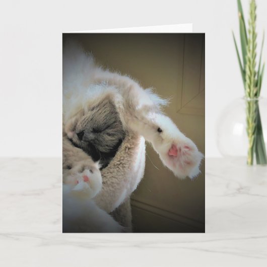 Trage dagen, kaart (Voorkant)