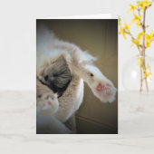 Trage dagen, kaart (Gele Bloem)