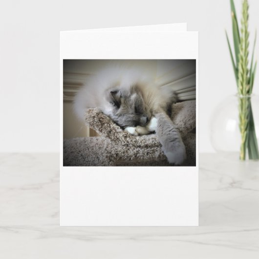 Trage dagen, kaart (Voorkant)