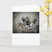 Trage dagen, kaart (Gele Bloem)