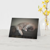 Trage dagen, kaart (Gele Bloem)