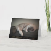 Trage dagen, kaart (Voorkant)