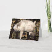 Trage dagen, kaart (Voorkant)